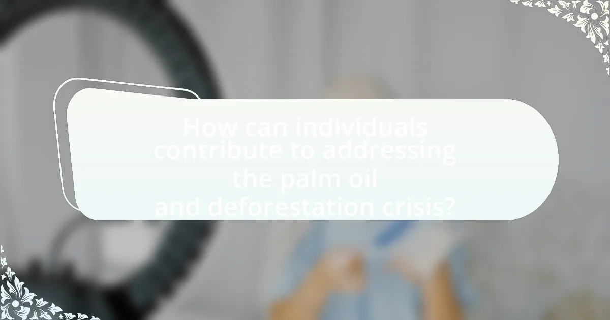 How can individuals contribute to addressing the palm oil and deforestation crisis?