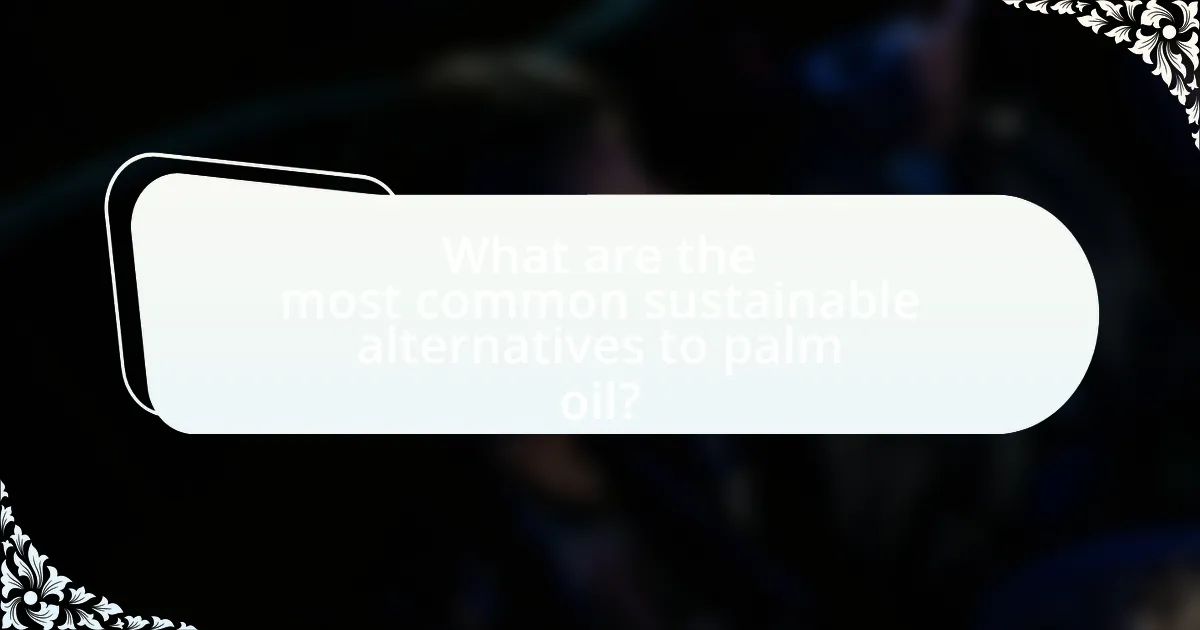 What are the most common sustainable alternatives to palm oil?